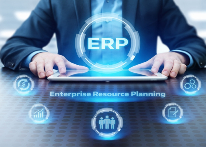 ERP Consulting Services